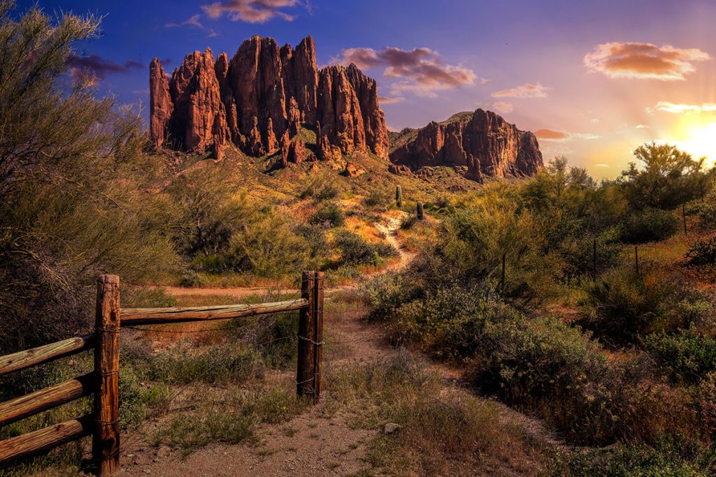 Desert With Cacti And Mountains In The Background